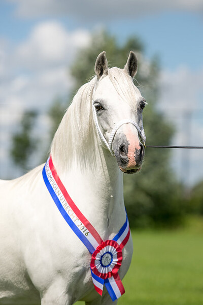 Regionale Keuring Utrecht