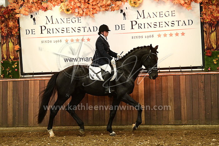 Inge Rotteveel - Orlandeaux M