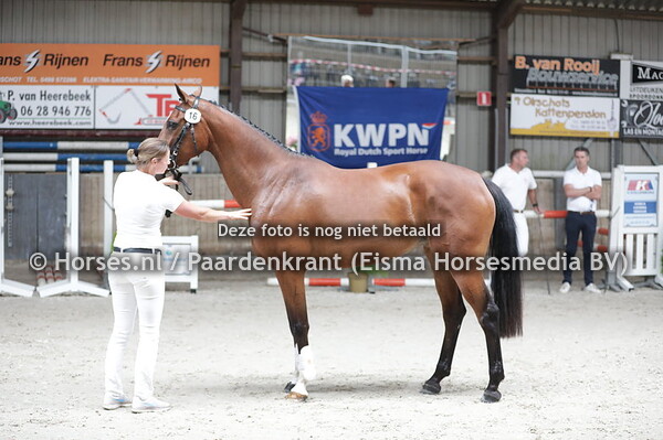 16 Milana O (Grand Slam x Timba v. Navarone