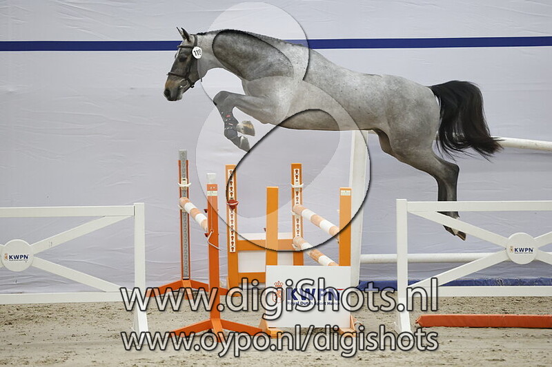 Sir Cornet FZ v. Mr Cornet de Regor