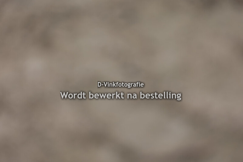 Yara Klijn - Meike P vd Slothoeve