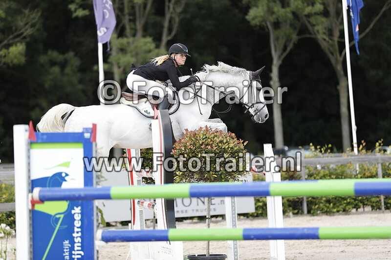 anoek van der pluijm