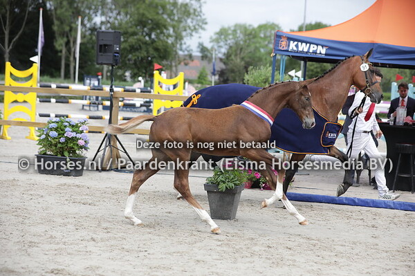 91 Sanni Louise (Lambada Shake x Manni Louise v. High Shuttrefly)