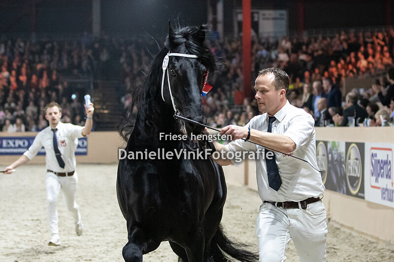 Hengstenkeuring 2023 Tymen 503