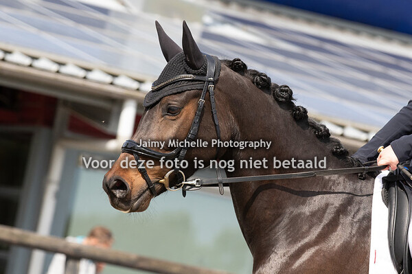 176 Fenne van Kampen