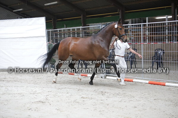 189 Just Dance (Foundation x Byoux de la Vigne v. Jazz)