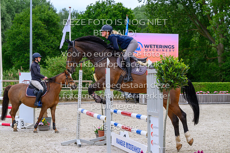 1 Oefenspringen voor pony's en paarden