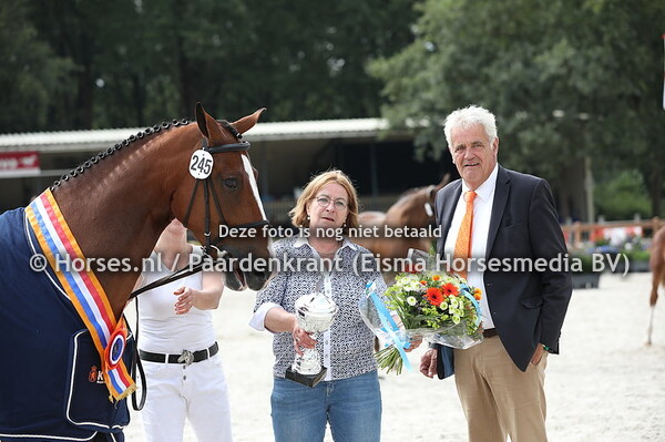 245 Jeaninetty (Alexandro P x Sinerry v. Cabochon)