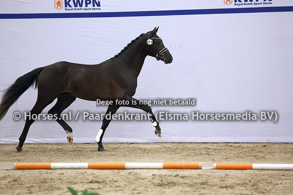 511 (Skyline to B x Prestige VDL)