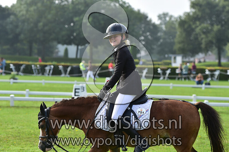 Dressuur M1 M2 cat AB