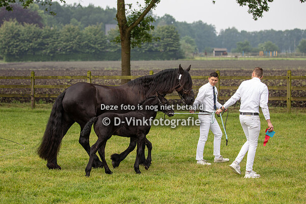 01. Bertje de Heintjes Hoeve