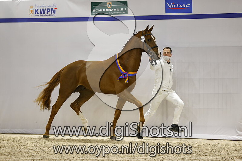 Oberon ES v. Nixon van t Meulenhof