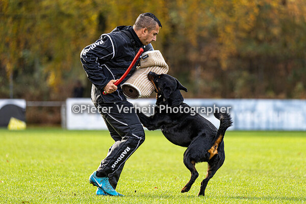 Catnr 28 Andrea Lasker Magnus vom Schwarzen Grat