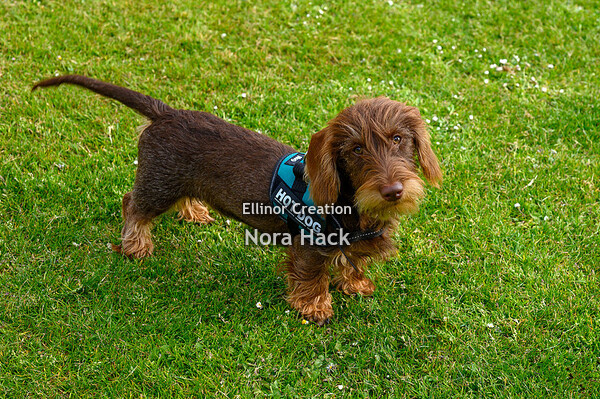 Vrijdag 29 april 2022