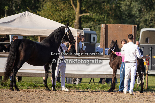 13. Aiko van 't Wilbroek