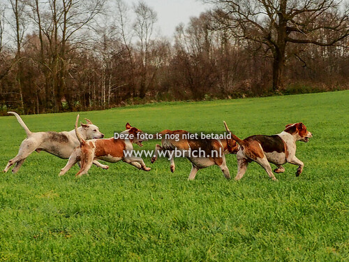 17 Gelselaar 7-12-2024