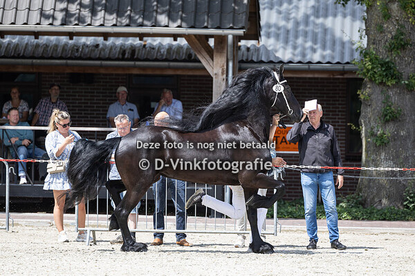 80. Benthe fan Rijck's Pleats