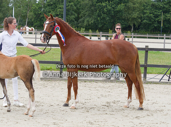 NWR keuring 26-07-2025