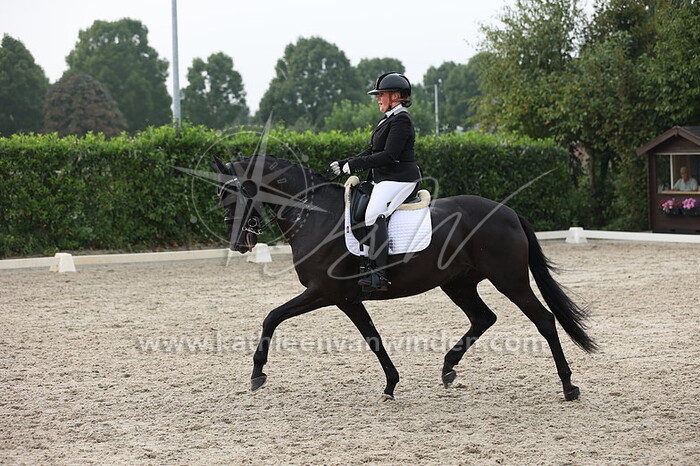 Floor van Dedem - Go with the Flow VD