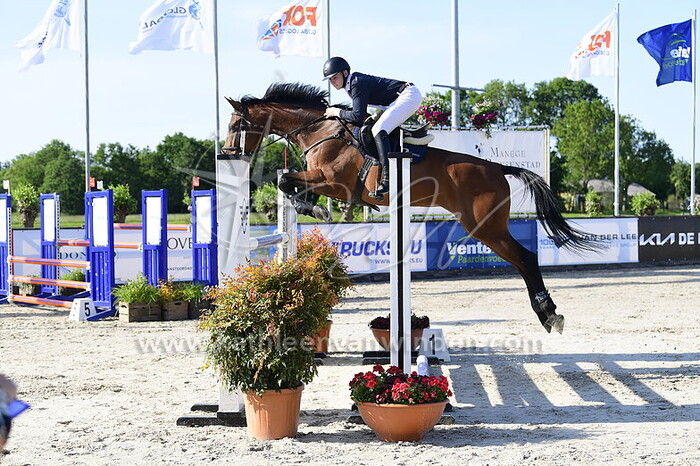 Tom Kuijer - Ellis vd Bernsehoeve