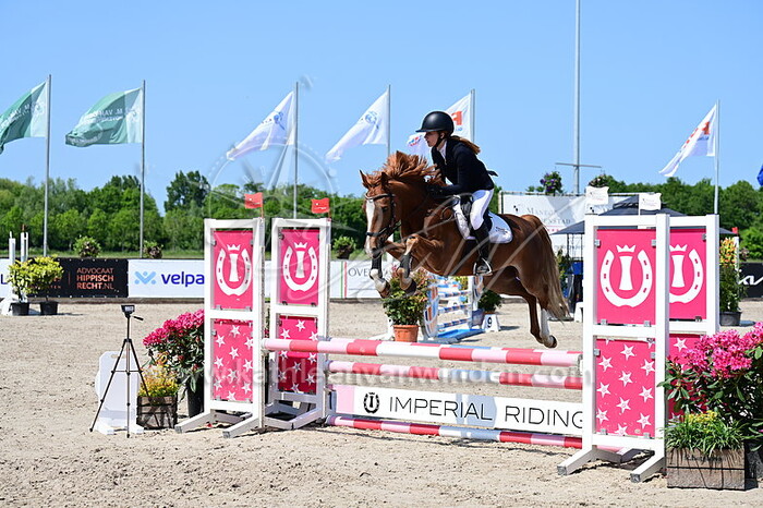 Yazmina Wahle - Wally