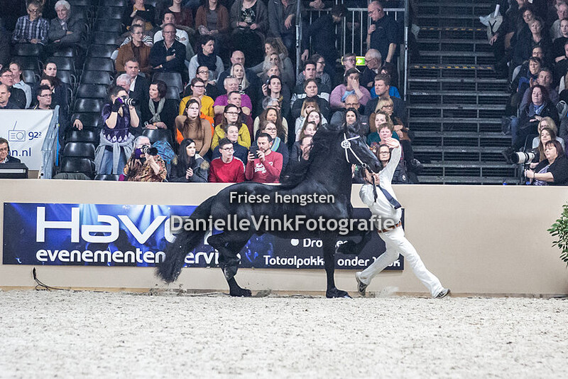 Hengstenkeuring 2020 Jurre 495