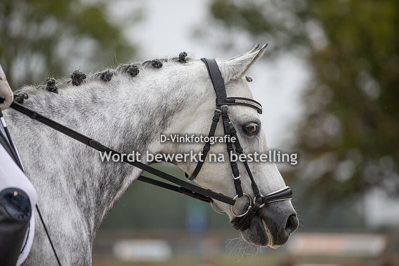Nikki Teubel - Brouwershaven's Marthijs
