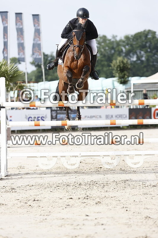 dennis van den brink