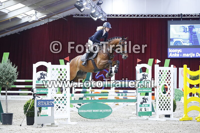 anke marije de vries