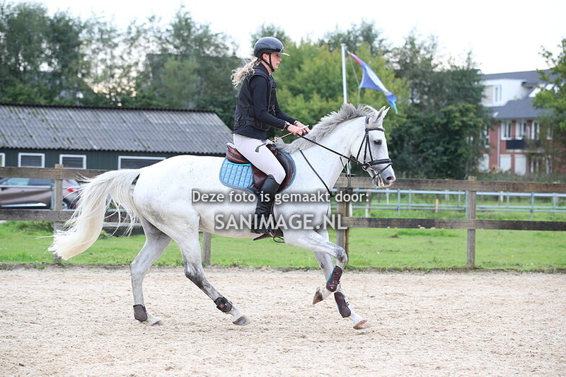 Groenewoude Springen 29-09-2024 Paarden 100 cm