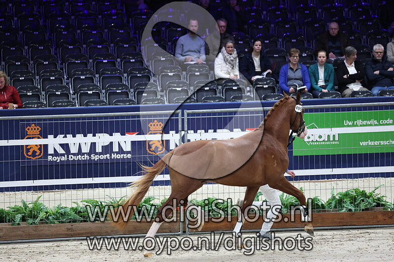 Snoop Dogg FM v. Sir Donnerhall I