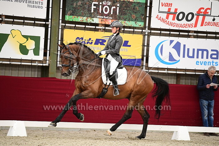 Diana Damen - Look A Superstar