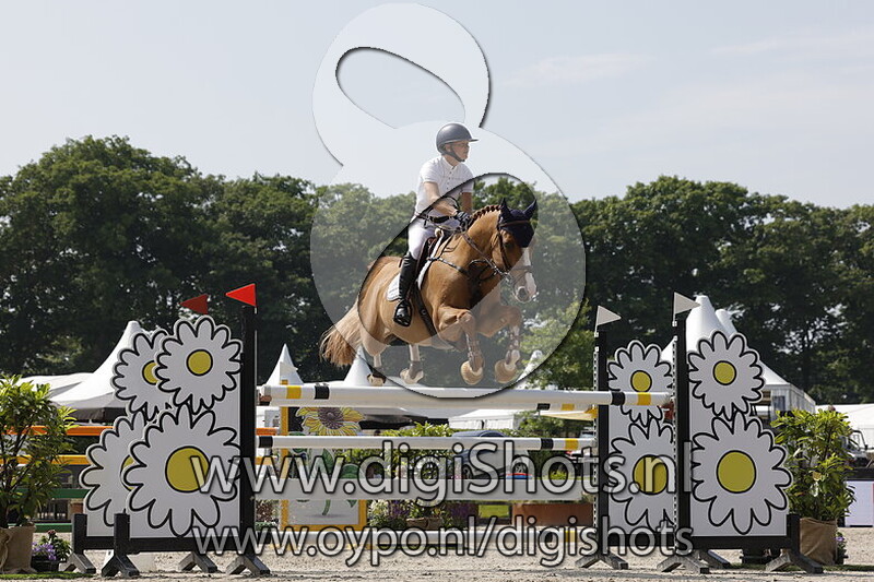 Spider van D Hemelse BreedteÂ 