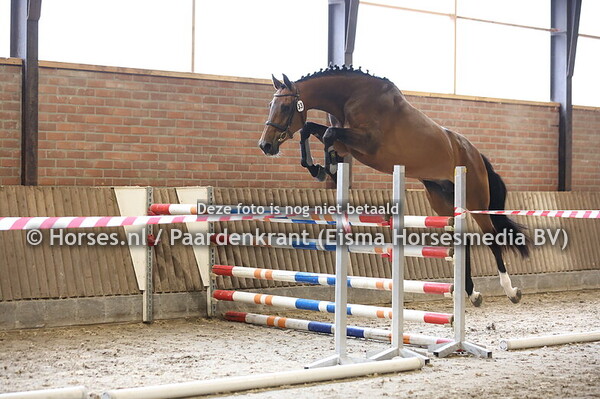 33 Naberina (Chapeau TN x Eberlina v. Clinton)