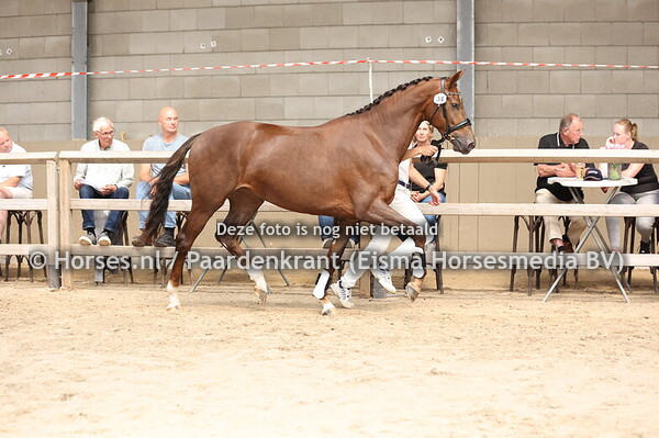 34 Sisterlove FX (Taminiau x Nadria Esther v. Vitalis)