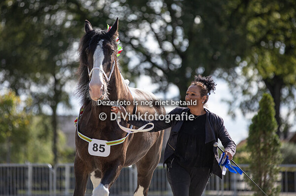 07. Ruinen 4 jaar e.o.