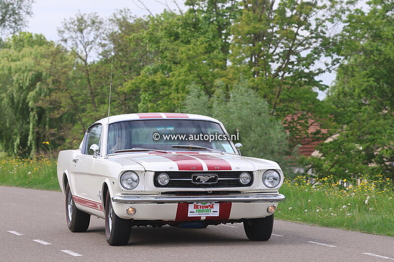 Betuwse Fruitrit 2025