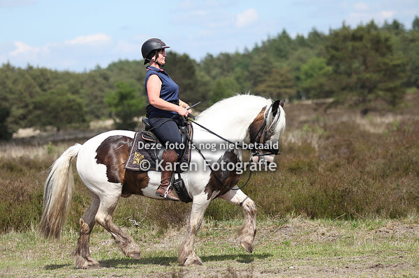 Eper Paardenvierdaagse 2022