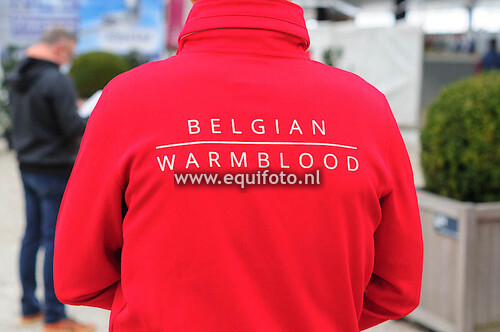 20180310_Hoogstraaten_BE_BWP_JongeBelgischeSpringpaarden