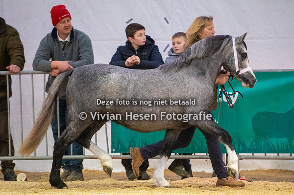 Royal Welsh WInter Fair