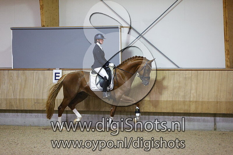 Pacha v. Glock's Toto JR - 820