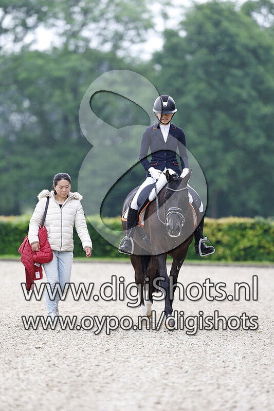 King Stayehof's Jango