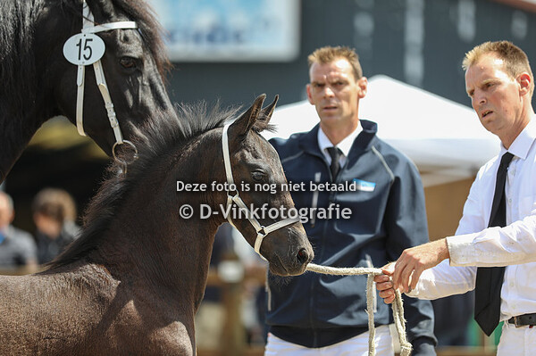 15. Wytse R v.d. Dinherseweg