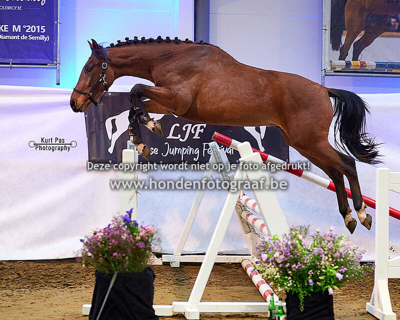 2 Jaar - Hengsten en Ruinen