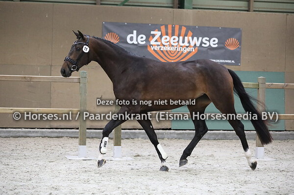 11 Miley Varra v Eye Catcher