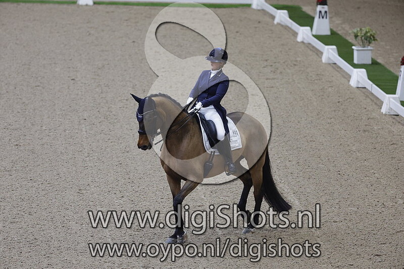 Chocolate Cookie R.d.p