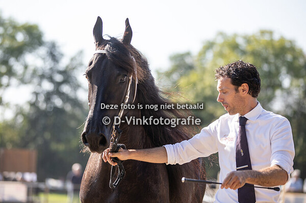 52. Mopcke van de Stierenweg