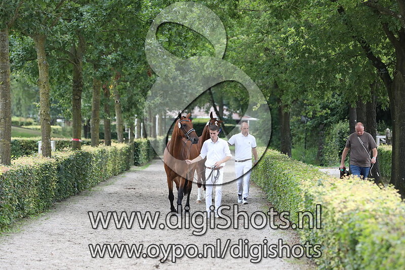 186 Ninkie v. Henkie