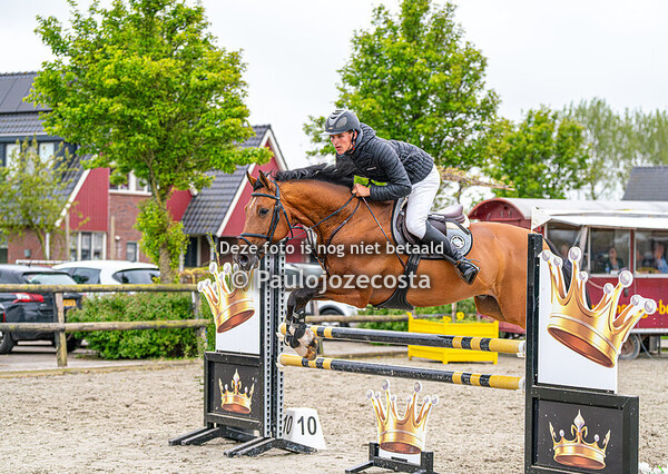 Outdoor Beukers - Paarden 110cm