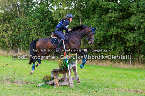 sgw bollert brons paarden b 14-09-25